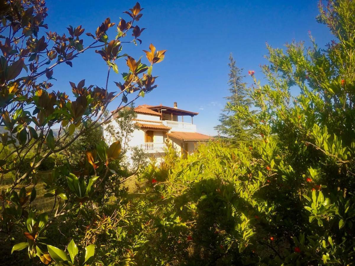 Villa Vasiliki Paliouras Exterior foto