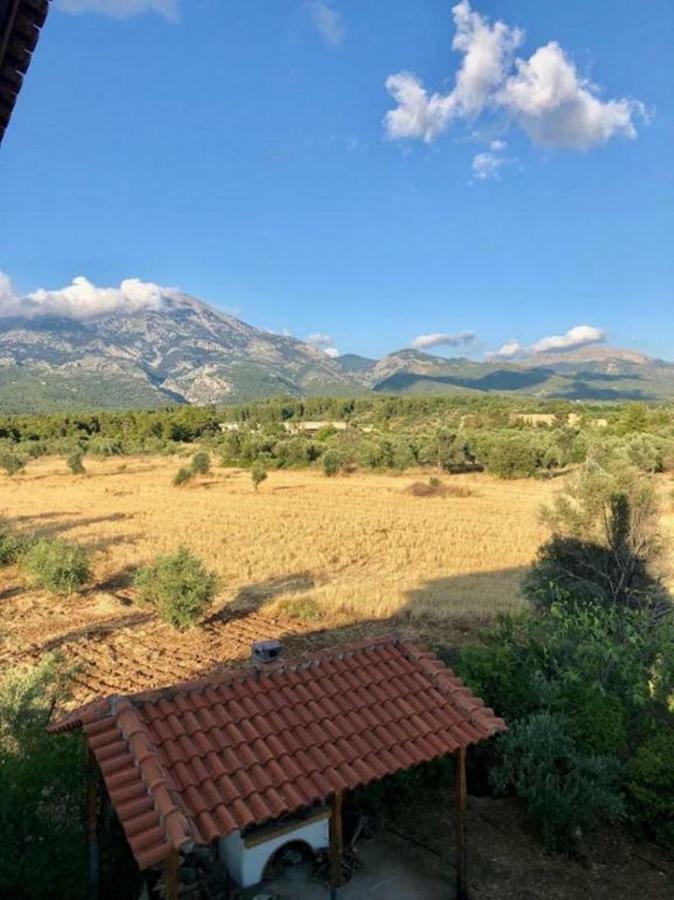 Villa Vasiliki Paliouras Exterior foto